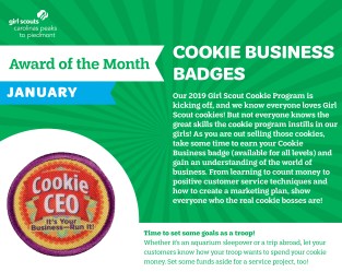 Badge of the month - January - Cookie Business-01
